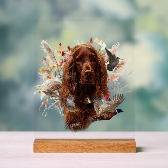 Panneau En Acrylique  Irish  Setter (Neutre)