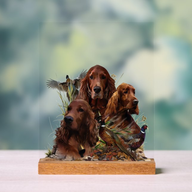Panneau En Acrylique  Irish  Setter (Neutre)