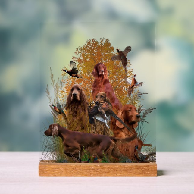 Panneau En Acrylique  Irish  Setter (Neutre)