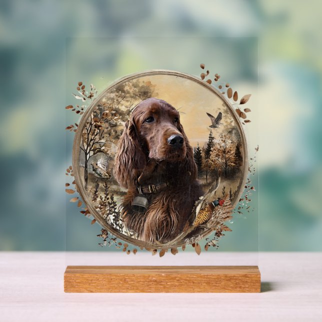 Panneau En Acrylique  Irish  Setter (Neutre)