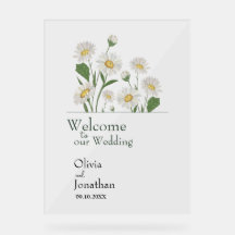 Jardin sauvage simple de marguerite