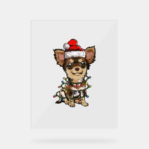 Panneau En Acrylique Jote Chihuahua Père Noël Feux de Noël Joyeux Noël