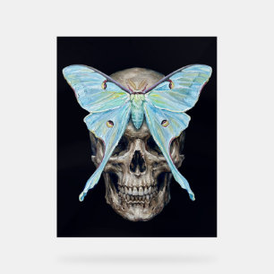 Panneau En Acrylique kull et Luna Moth — Memento Mori Impasto Poster