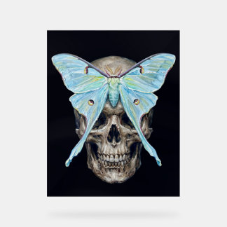 Panneau En Acrylique kull et Luna Moth — Memento Mori Impasto Poster