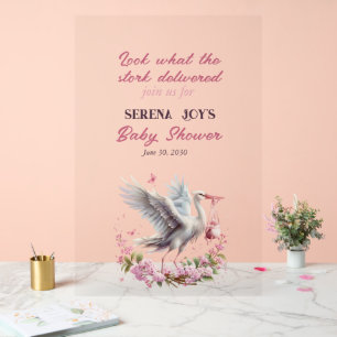 Panneau En Acrylique La cigogne donne un bébé fille