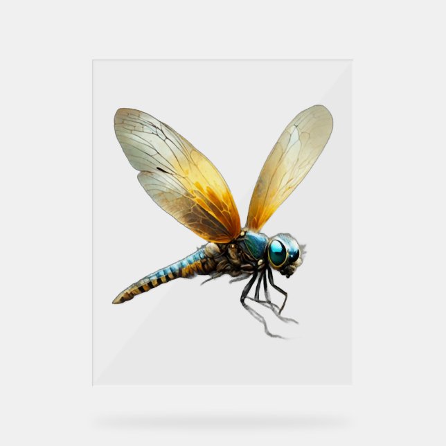 Panneau En Acrylique Lucky Dragonfly (Recto)