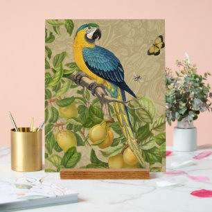 Panneau En Acrylique Macaw Blue Jaune Tropical Jungle Antique