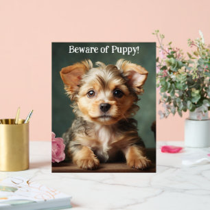 Panneau En Acrylique Méfiez-Vous Des Chiots Cute Yorkshire Terrier Guar
