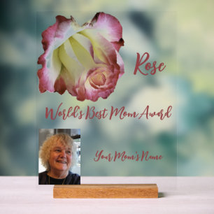 Panneau En Acrylique Meilleur Maman du monde rose