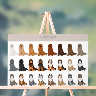 Panneau En Acrylique mélange de chien Aussiedoodle
