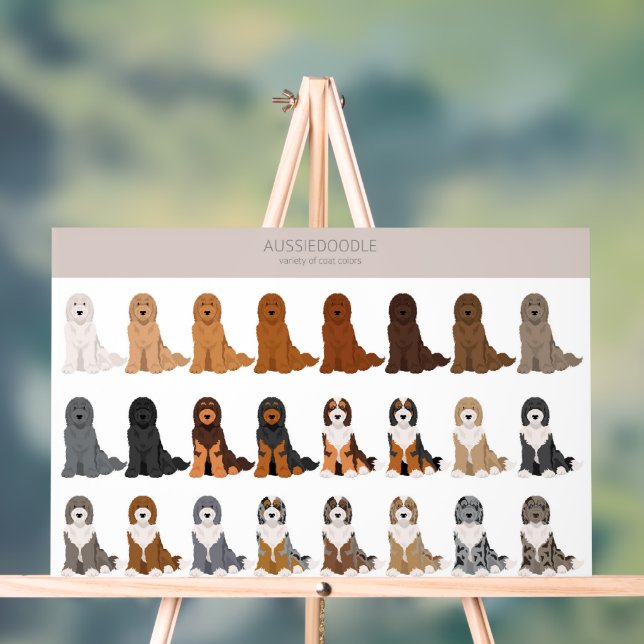 Panneau En Acrylique mélange de chien Aussiedoodle (Neutre)