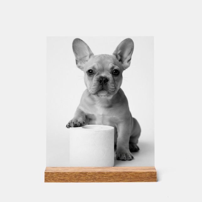 Panneau En Acrylique Minimalist Funny French Bulldog Guards ToiletPaper (Recto)