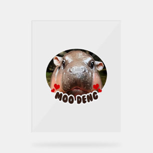 PANNEAU EN ACRYLIQUE MOO-DENG LE CÉLÈBRE BÉBÉ PIGMY HIPPO MOODENG - OFF