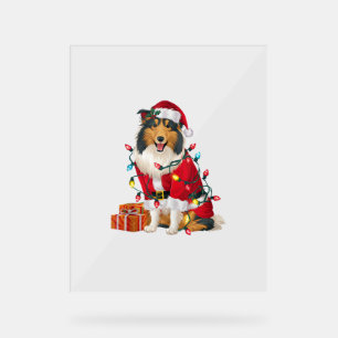 Panneau En Acrylique Noël Éclairage Père Noël Rough Collie Chien Noël