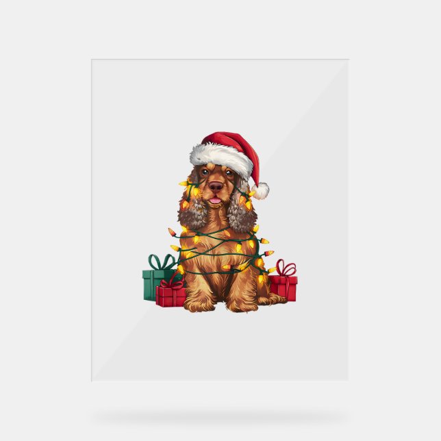 Panneau En Acrylique Noël Éclairage Santa Chapeau Cocker Spaniel Chien  (Recto)