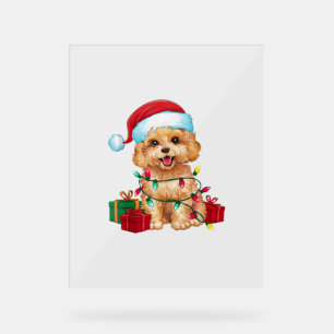 Panneau En Acrylique Noël Éclairage Santa Chapeau Maltipoo Chien Noël