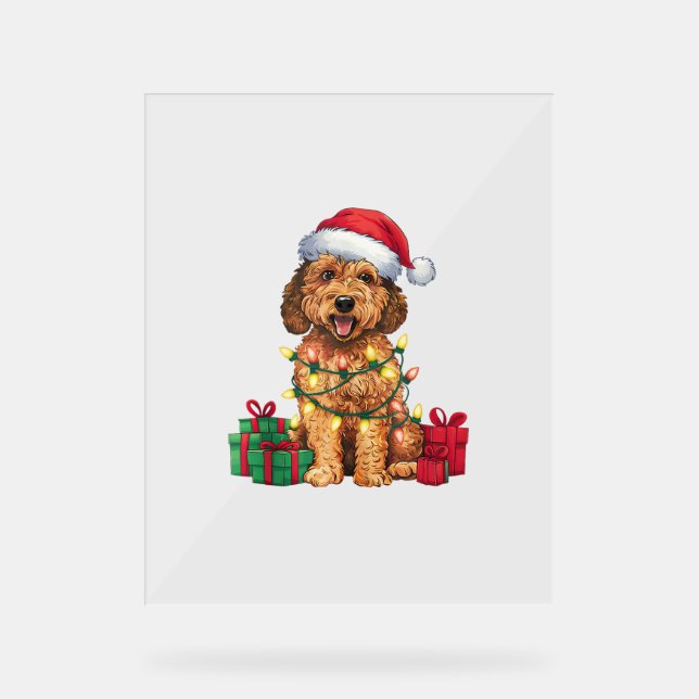 Panneau En Acrylique Noël Éclairage Santa Hat Labradoodle Chien Noël (Recto)