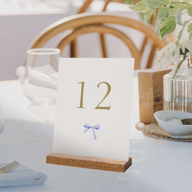 Panneau En Acrylique Numéro de table du Mariage de ruban tendance (Créateur téléchargé)