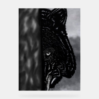 Panneau En Acrylique Observant sans crainte – Loup dessiné à la main