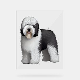 Panneau En Acrylique Old English Sheepdog 10