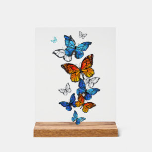 Panneau En Acrylique Papillons volants Morpho et Monarch