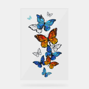Panneau En Acrylique Papillons volants Morpho et Monarch