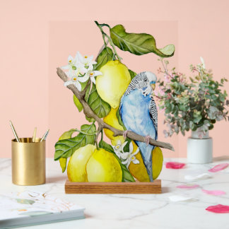Panneau En Acrylique Perroquet bleu dans l'arbre à citrons Art botaniqu
