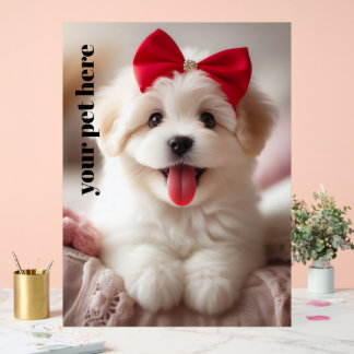 Panneau En Acrylique Personnalisé