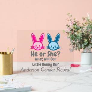 Panneau En Acrylique Petit Bunny Gender Reveal
