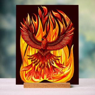 Panneau En Acrylique Phoenix mythologique immortelle Créature