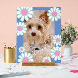 Panneau En Acrylique Photo bleu simple Daisy