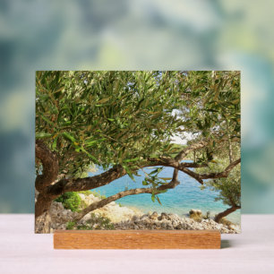 Panneau En Acrylique Photo de l'olivier de la mer Méditerranée
