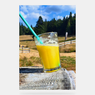 Panneau En Acrylique Photographie de plein air au jus d'orange – Forêt