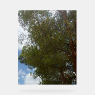 Panneau En Acrylique PHOTOGRAPHIE SYMBOLE ACrylique