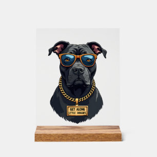 Panneau En Acrylique Pitbull Vintage Cool en Lunettes de Soleil avec Ch