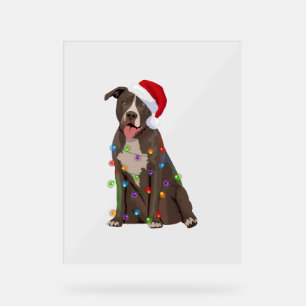 Panneau En Acrylique Pittie Pitbull feux de Noël Noël Noël Amoureux des