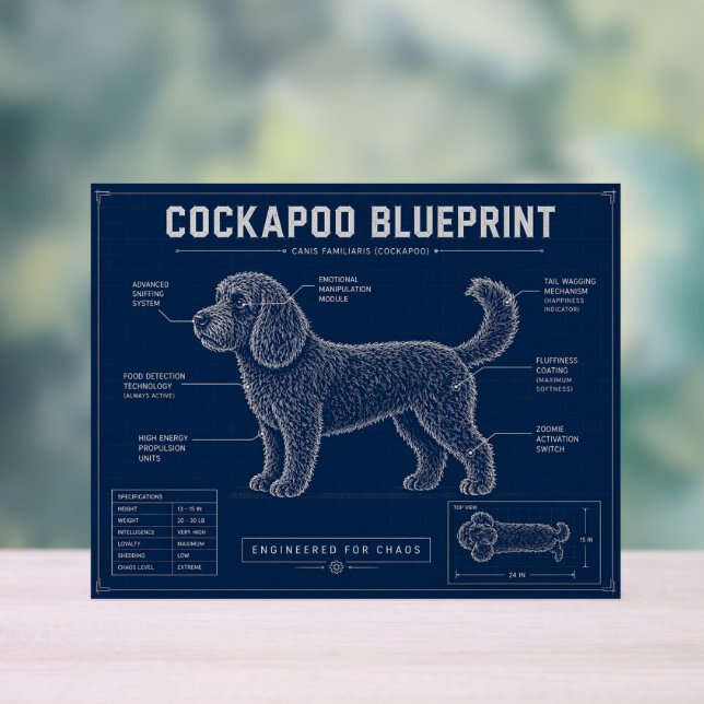 Panneau En Acrylique Plan de Cockapoo sur toile Cadeau pour amateur de  (Neutre)