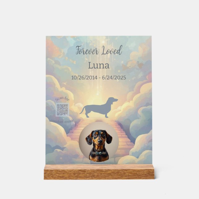 Panneau En Acrylique Plaque commémorative Dachshund Rainbow Bridge (Recto)