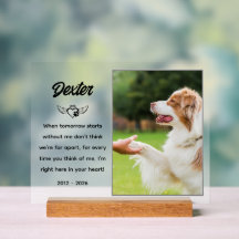 Plaque commémorative personnalisée pour animaux de