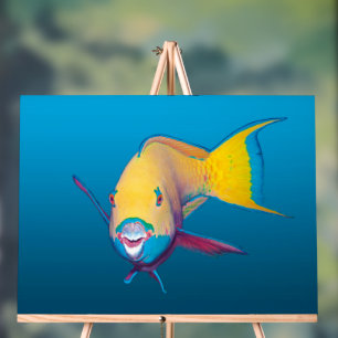 Panneau En Acrylique Poisson-perroquet en gros plan ! Fond bleu dégradé