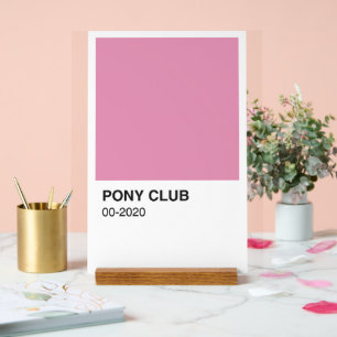 Panneau En Acrylique Pony Club Chanson Couleur rose - Arrière - plan bl