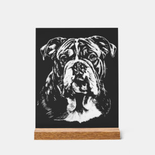 Panneau En Acrylique Portrait de Bulldog Anglais Vêtements Minimalistes