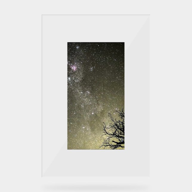 Panneau En Acrylique Portrait d'évasion lunaire par Chrome Kitten  (Recto)