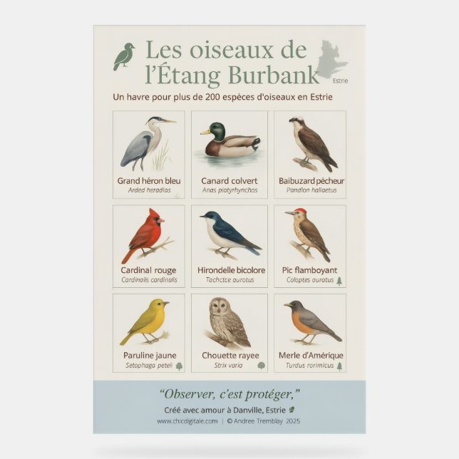 Panneau En Acrylique Poster éducatif – Les oiseaux de l’Étang Burbank ( (Recto)