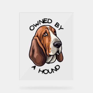 Panneau En Acrylique Propriété de quelqu'un Basset Hound