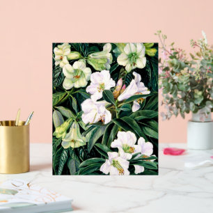Panneau En Acrylique Rhododendron de l'Inde du Nord