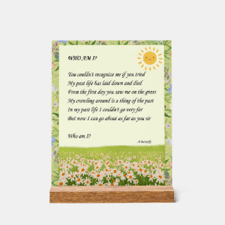 Panneau En Acrylique Riddle Art