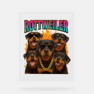 Panneau En Acrylique Rottweiler