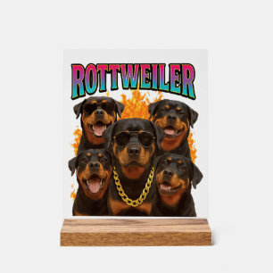 Panneau En Acrylique Rottweiler