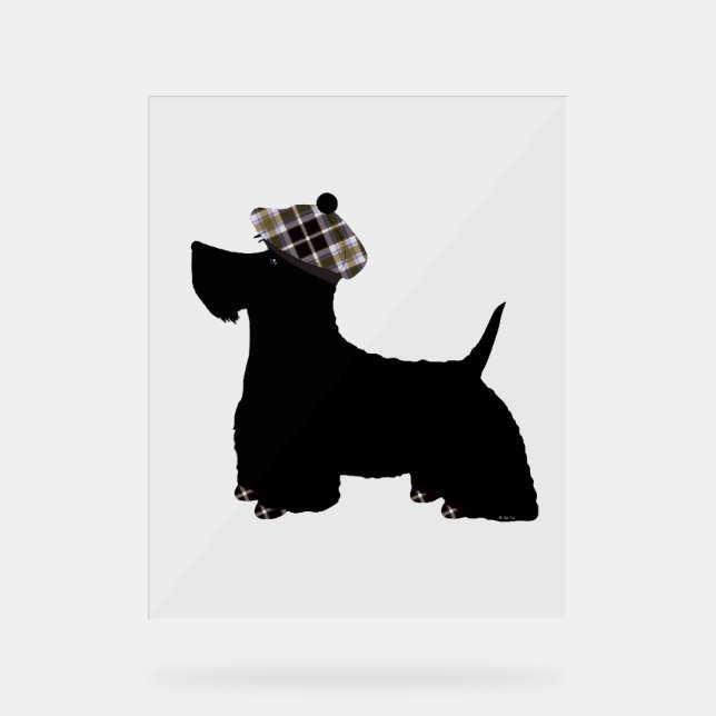 Panneau En Acrylique Scottish Terrier (Recto)